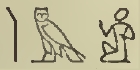 Hieroglyph aam (s) EgDict-111
